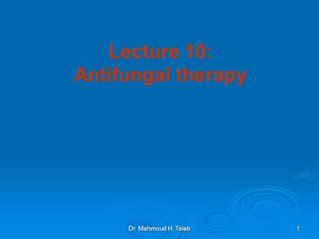 Dr. Mahmoud H. Taleb 1 Lecture 10: Antifungal therapy.