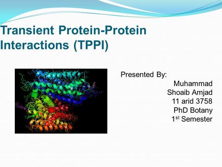 Transient Protein-Protein Interactions (TPPI)