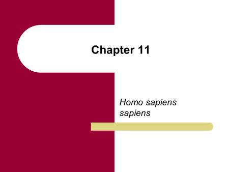 Chapter 11 Homo sapiens sapiens. Chapter Outline The Origin and Dispersal of Homo sapiens sapiens (Anatomically Modern Human Beings) The Earliest Homo.