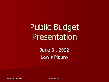 Budget 2002-2003 Montrose Area Public Budget Presentation June 3, 2002 Lewis Plauny.