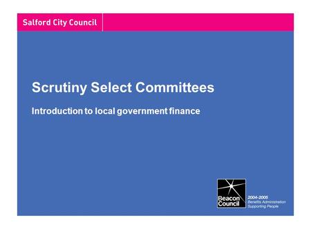 Scrutiny Select Committees Introduction to local government finance.