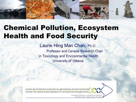 Chemical Pollution, Ecosystem Health and Food Security Laurie Hing Man Chan, Ph.D. Professor and Canada Research Chair in Toxicology and Environmental.