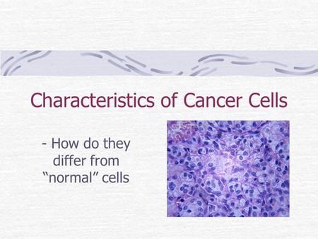 Characteristics of Cancer Cells - How do they differ from “normal” cells.