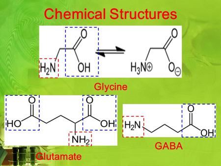 Chemical Structures Glycine Glutamate GABA. Neurotransmitters ExcitatoryInhibitory Process that controls Depolarization of cell membrane Hyperpolarization.