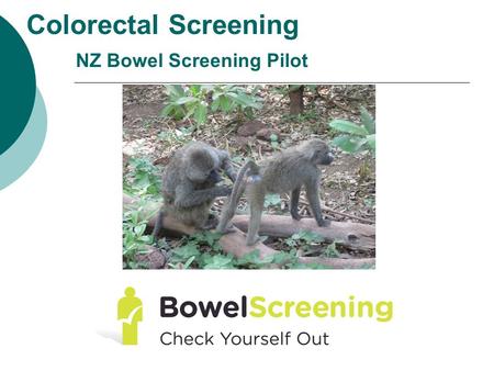 Colorectal Screening NZ Bowel Screening Pilot. WHO Screening criteria  Impt Health condition  Identifiable Latent or early stage  Understand natural.