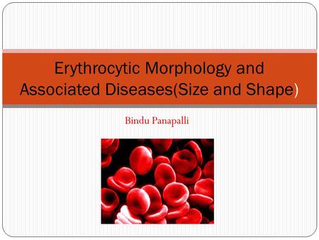 Erythrocytic Morphology and Associated Diseases(Size and Shape)