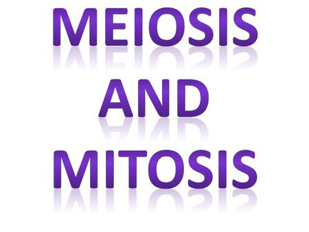 Meiosis and Mitosis.