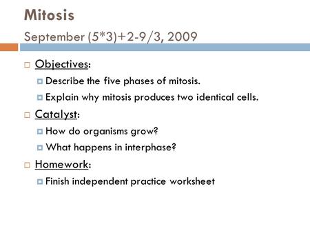 Mitosis September (5*3)+2-9/3, 2009  Objectives:  Describe the five phases of mitosis.  Explain why mitosis produces two identical cells.  Catalyst: