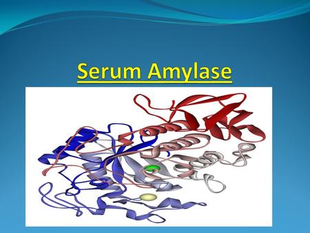 DESCRIPTION AMYLASE belongs to the family of glycoside hydrolase enzymes that break down starch into glucose molecules. Amylase (EC 3.2.1.1) cleave at.