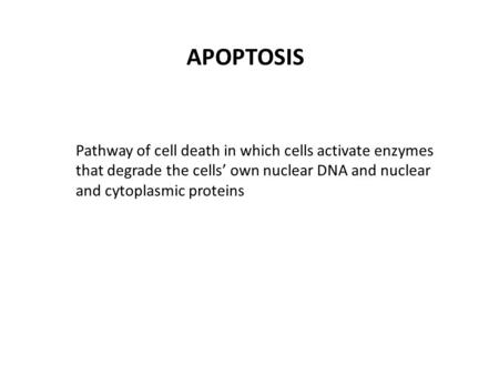 APOPTOSIS Pathway of cell death in which cells activate enzymes that degrade the cells’ own nuclear DNA and nuclear and cytoplasmic proteins.