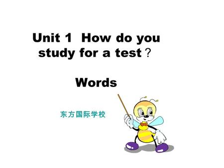 Unit 1 How do you study for a test ？ Words 东方国际学校.