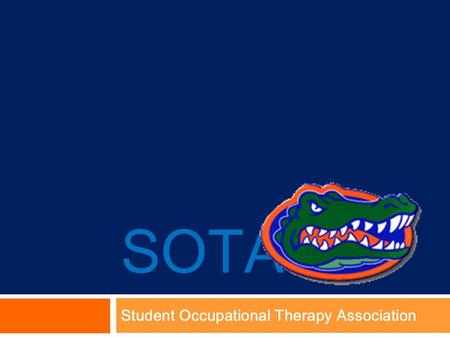 SOTA Student Occupational Therapy Association. Occupational Therapy RAP 