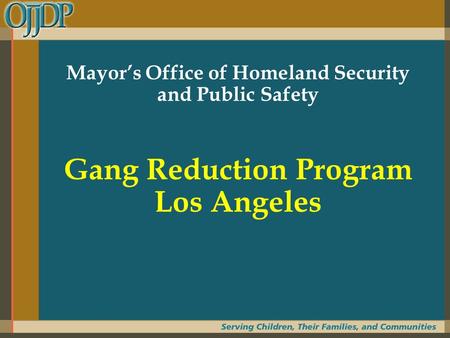 Mayor’s Office of Homeland Security and Public Safety Gang Reduction Program Los Angeles.