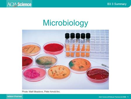 Microbiology Photo: Matt Meadows, Peter Arnold Inc.
