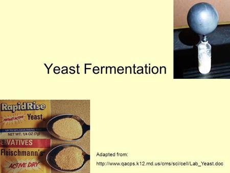 Yeast Fermentation Adapted from: