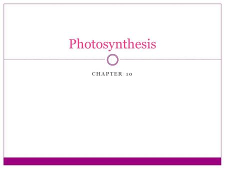 CHAPTER 10 Photosynthesis. Sunlight as an Ultimate Energy Source All living things need energy Photosynthesis provides this energy  Converts light energy.