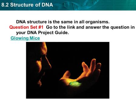 DNA structure is the same in all organisms.