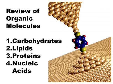 Review of Organic Molecules 1.Carbohydrates 2.Lipids 3.Proteins 4.Nucleic Acids.
