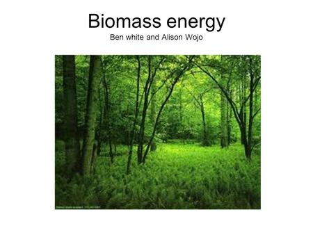Biomass energy Ben white and Alison Wojo