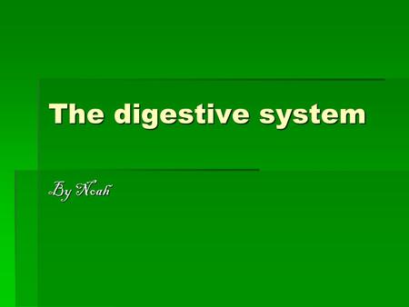 The digestive system By Noah. bibliography  n,fixedpos%3Dfalse,boost_normal%3D40,boost_high %3D40,cconf%3D1.2,min_length%3D2,rate_low%3D0.