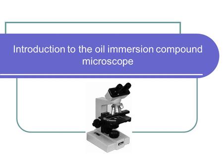Introduction to the oil immersion compound microscope.