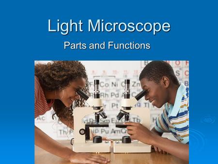 Light Microscope Parts and Functions. A. Eye piece Contains the ocular lens Magnification 10x.