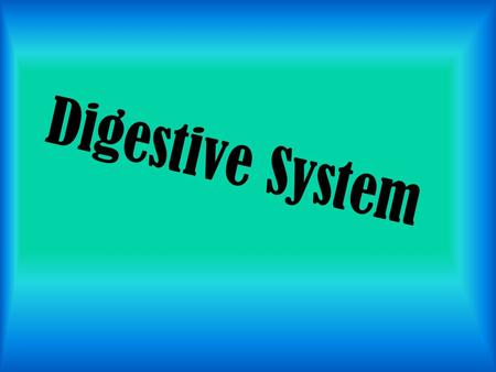 Digestive System. Includes: mouth, esophagus, pharynx, stomach, small and large intestines. Its function is to help convert foods into simpler molecules.