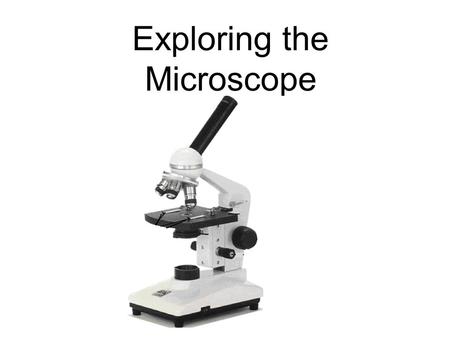 Exploring the Microscope