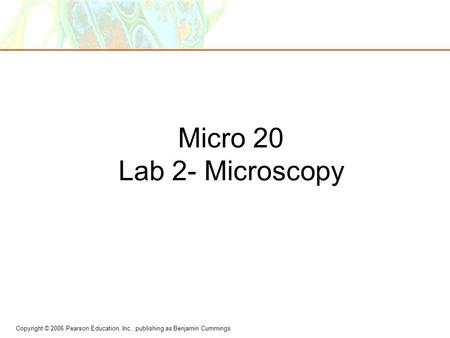 Copyright © 2006 Pearson Education, Inc., publishing as Benjamin Cummings Micro 20 Lab 2- Microscopy.