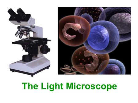 The Light Microscope. The light microscope Eyepiece lens Coarse adjustment knob Fine adjustment knob Nosepiece Stage and Stage Clips Condenser Diaphragm.