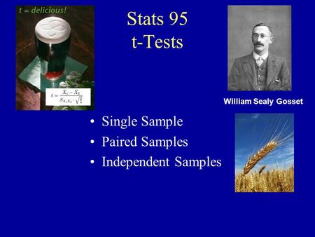 Stats 95 t-Tests Single Sample Paired Samples Independent Samples