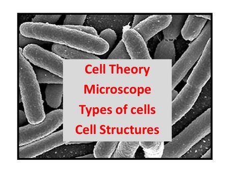 The Cell Cell Theory Microscope Types of cells Cell Structures.