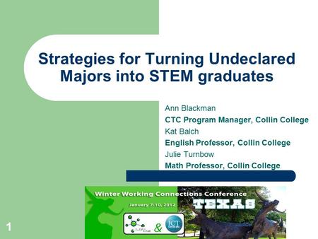 1 Strategies for Turning Undeclared Majors into STEM graduates Ann Blackman CTC Program Manager, Collin College Kat Balch English Professor, Collin College.