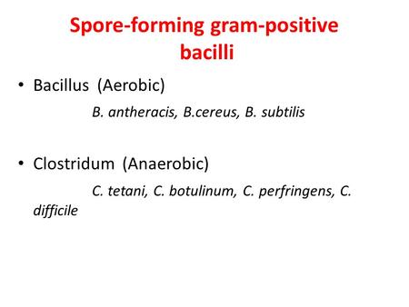 Spore-forming gram-positive bacilli