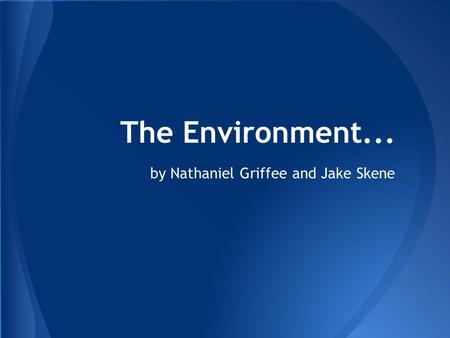The Environment... by Nathaniel Griffee and Jake Skene.