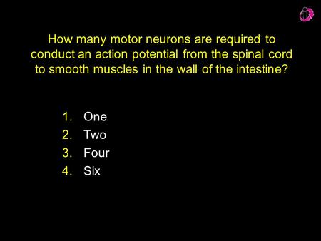 How many motor neurons are required to conduct an action potential from the spinal cord to smooth muscles in the wall of the intestine? 1.One 2.Two 3.Four.