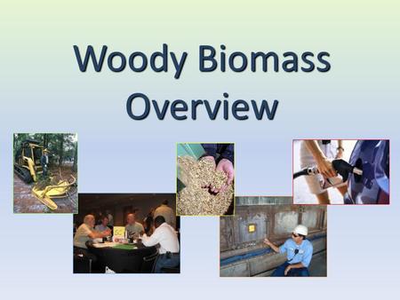 Woody Biomass Overview. Energy Demand Worldwide demand for fossil fuels projected to increase dramatically over the next 20 years Fossil fuel will come.