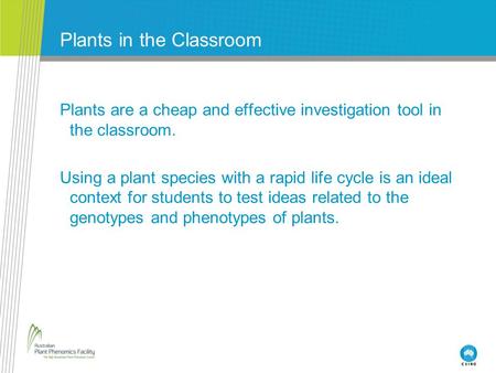 Plants in the Classroom Plants are a cheap and effective investigation tool in the classroom. Using a plant species with a rapid life cycle is an ideal.