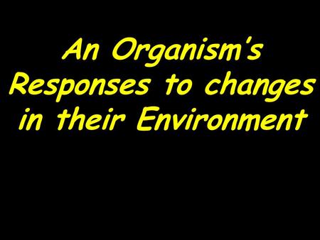 An Organism’s Responses to changes in their Environment.