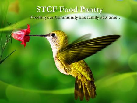 STCF Food Pantry Feeding our Community one family at a time…