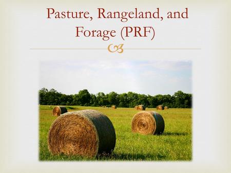  Pasture, Rangeland, and Forage (PRF).  Why should I insure my pasture & hayland?  Good Risk Management  Keep plans on track (maintain herd size)