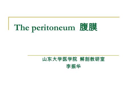 The peritoneum 腹膜 山东大学医学院 解剖教研室 李振华.