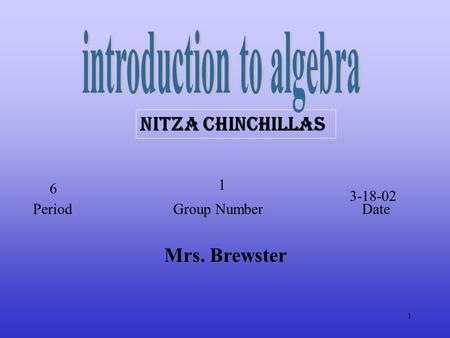 1 Mrs. Brewster Nitza chinchillas Period Group Number Date 6 1 3-18-02.