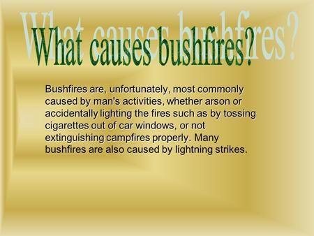 Bushfires are, unfortunately, most commonly caused by man's activities, whether arson or accidentally lighting the fires such as by tossing cigarettes.