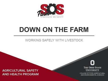 DOWN ON THE FARM WORKING SAFELY WITH LIVESTOCK. Learning Objectives Understand of the injuries related to livestock Recognize animal behavior traits and.