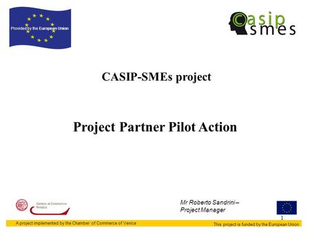 1 CASIP-SMEs project This project is funded by the European Union Provided by the European Union A project implemented by the Chamber of Commerce of Venice.