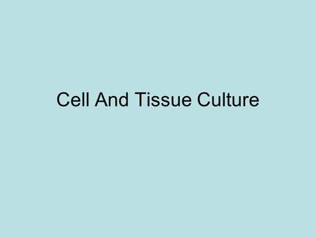 Cell And Tissue Culture. Why is it useful? Gene manipulation Culturing mammalian cells for cancer studies Producing new plants through tissue culture.