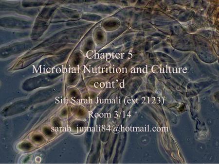 Chapter 5 Microbial Nutrition and Culture cont’d
