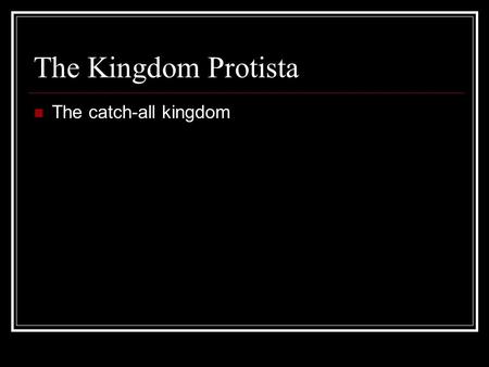 The Kingdom Protista The catch-all kingdom. What do you mean by catch-all kingdom? In our 5 kingdom paradigm, the Kingdom Protista was the last one to.