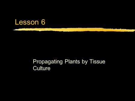 Lesson 6 Propagating Plants by Tissue Culture. Next Generation Science/Common Core Standards Addressed! zHS ‐ LS1 ‐ 1. Construct an explanation based.
